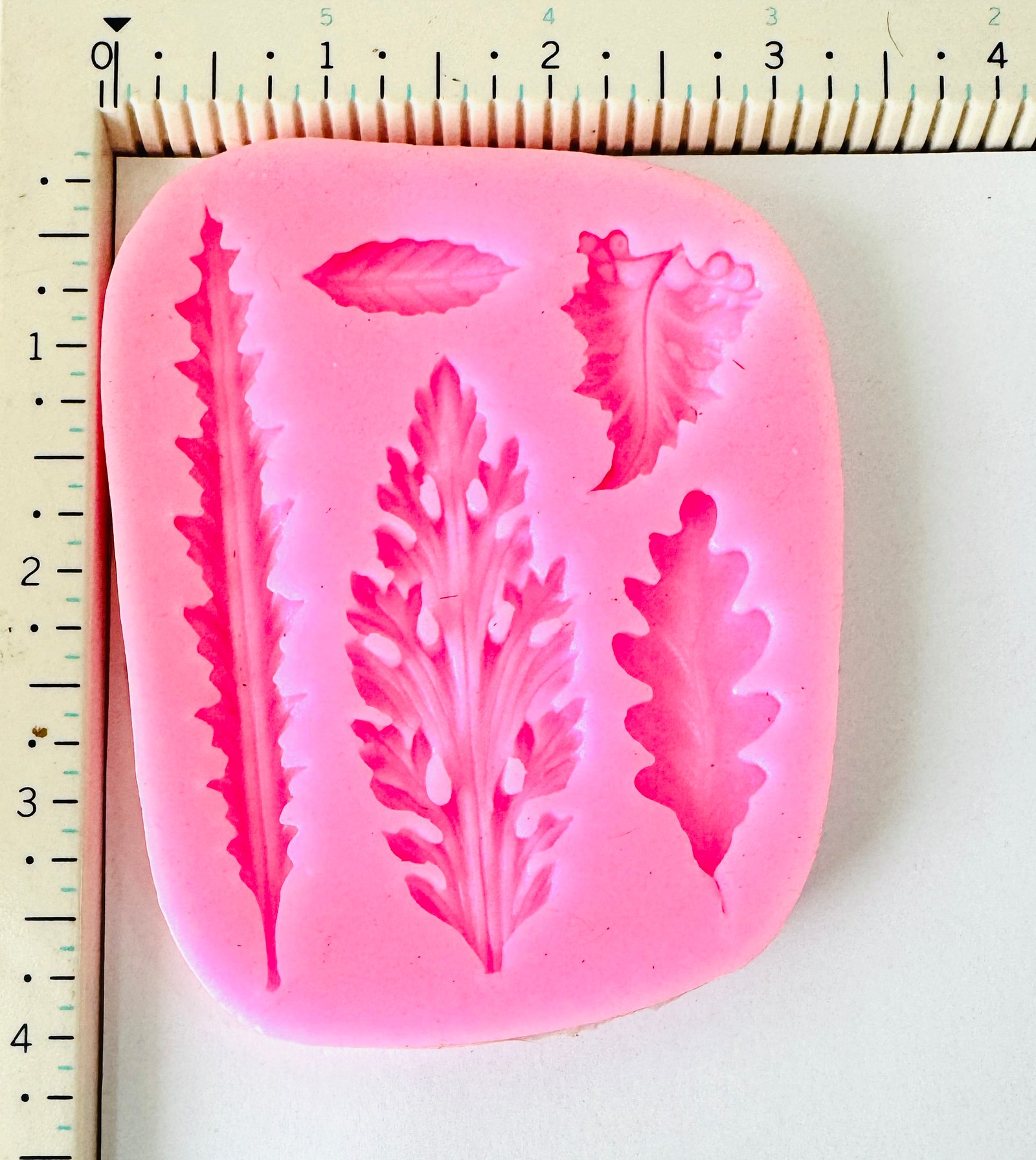 Decorative Leaf Variety Silicone Mould (Set of 5)