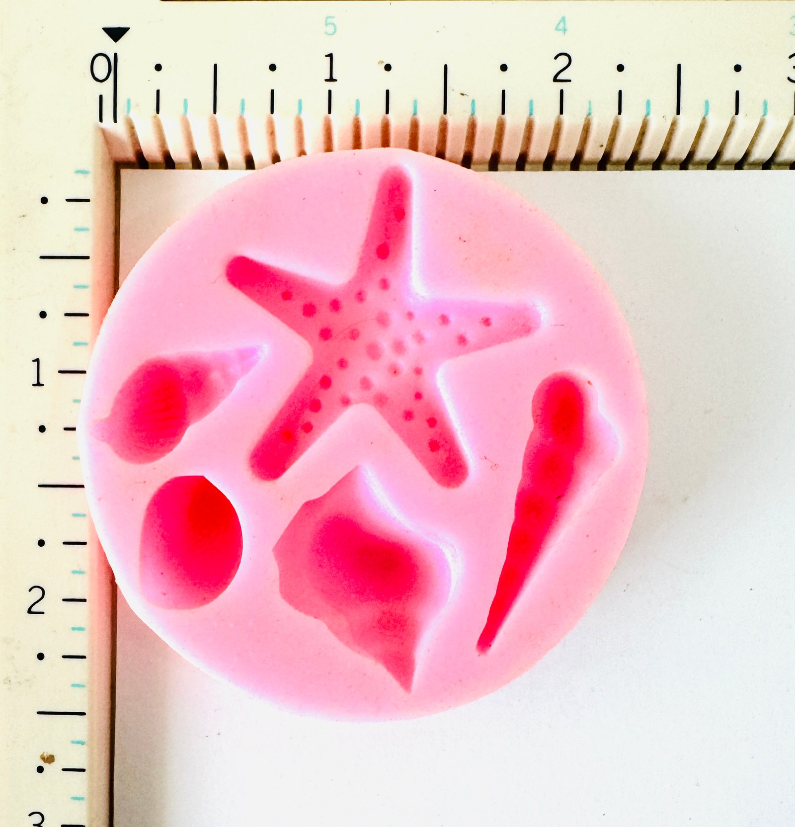 Ocean Theme Silicone Mould (Starfish & Shells)